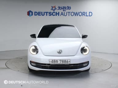 The Beetle