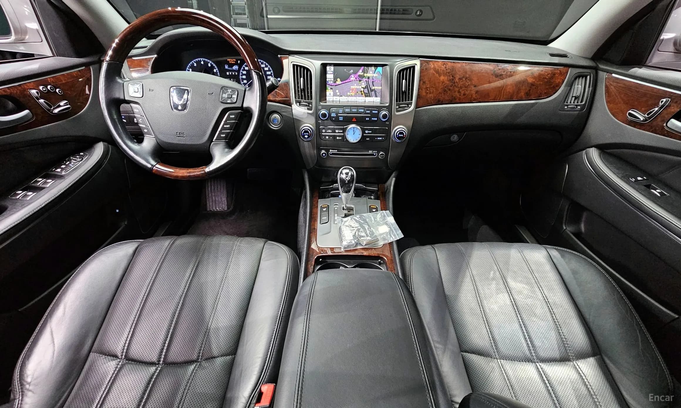 Equus (new)