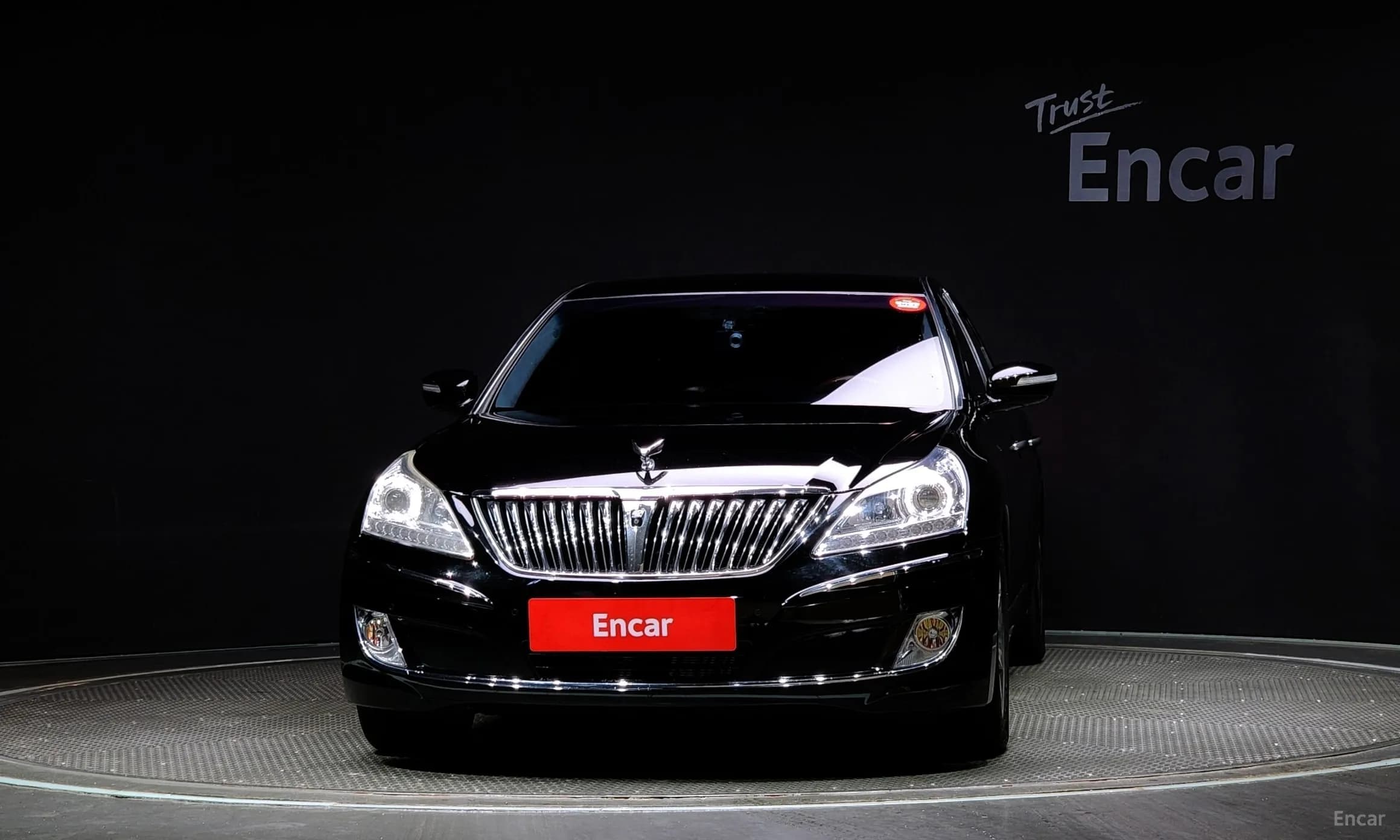 Equus (new)