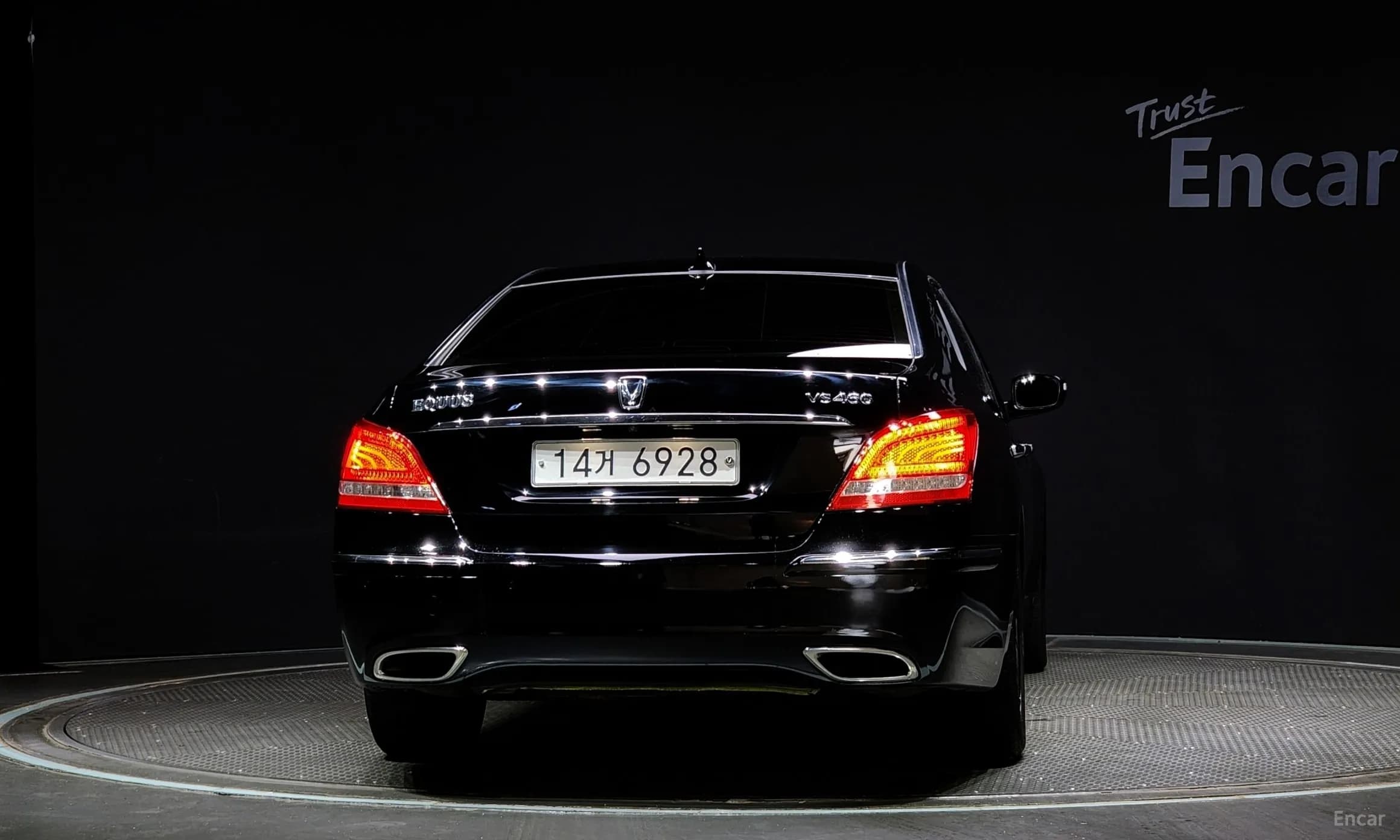 Equus (new)