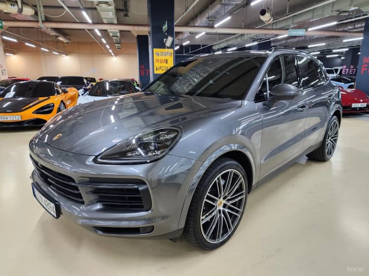 Cayenne (PO536)