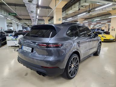 Cayenne (PO536)