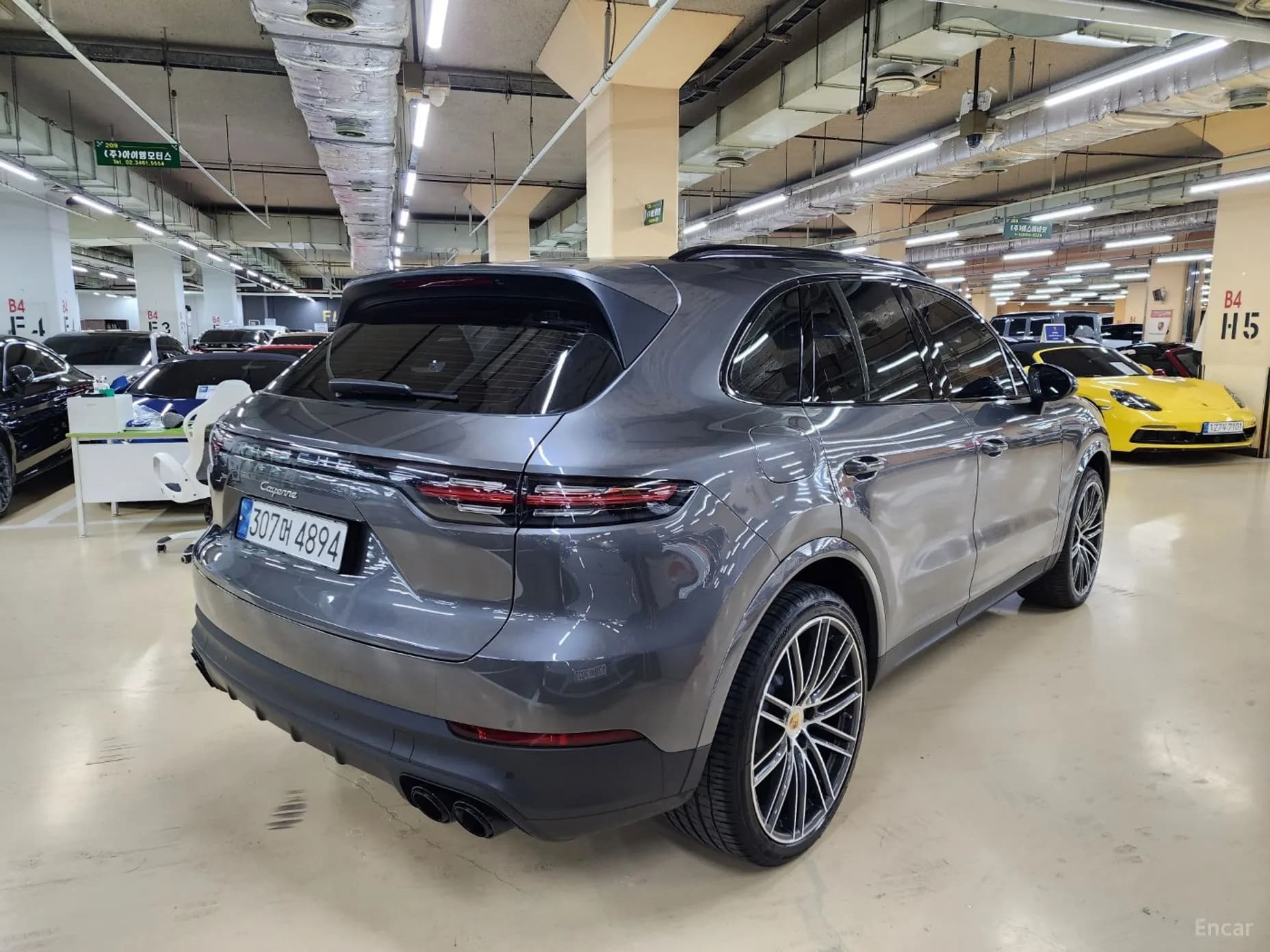 Cayenne (PO536)
