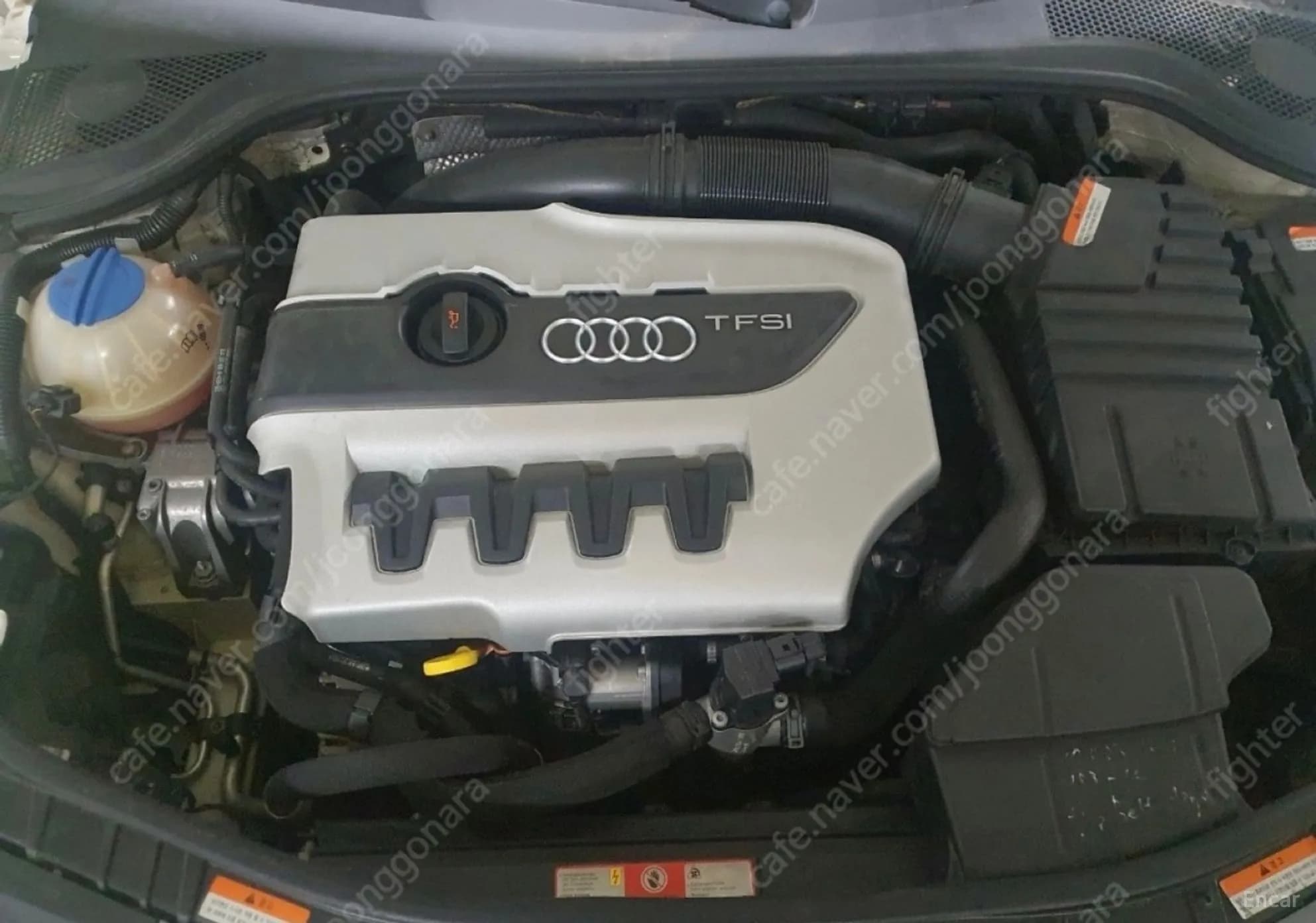 TTS