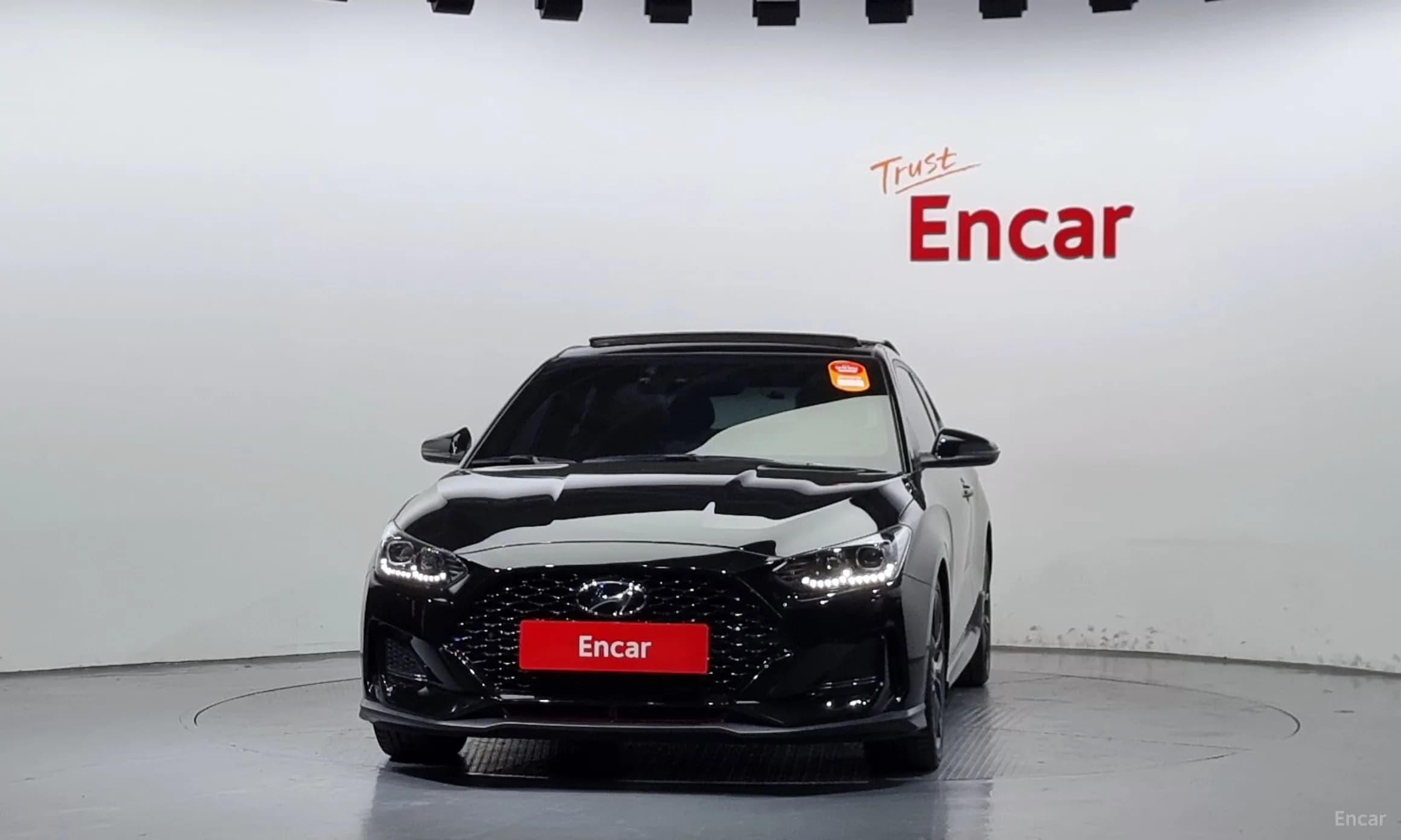 Veloster (JS)