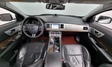 New XF