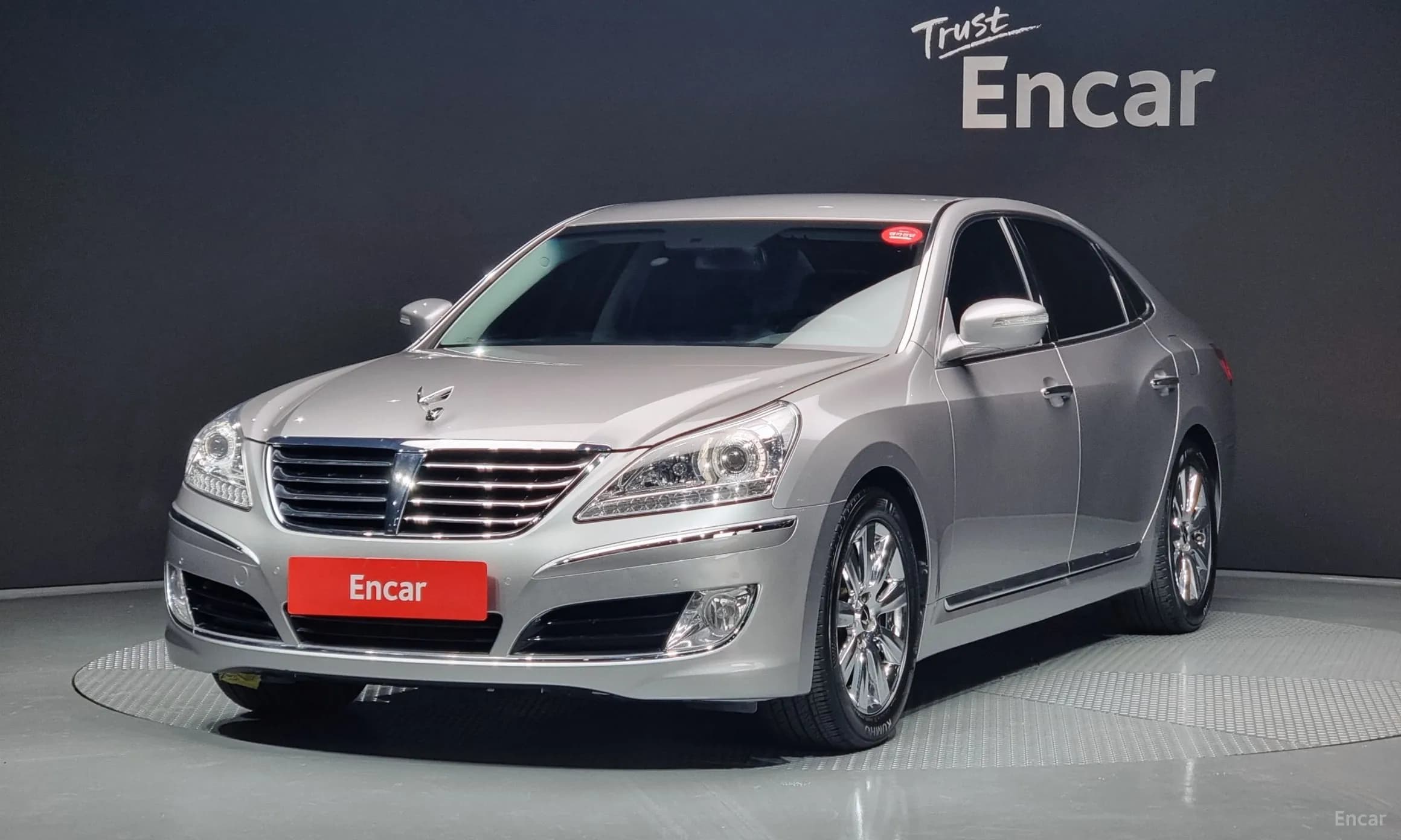 Equus (new)