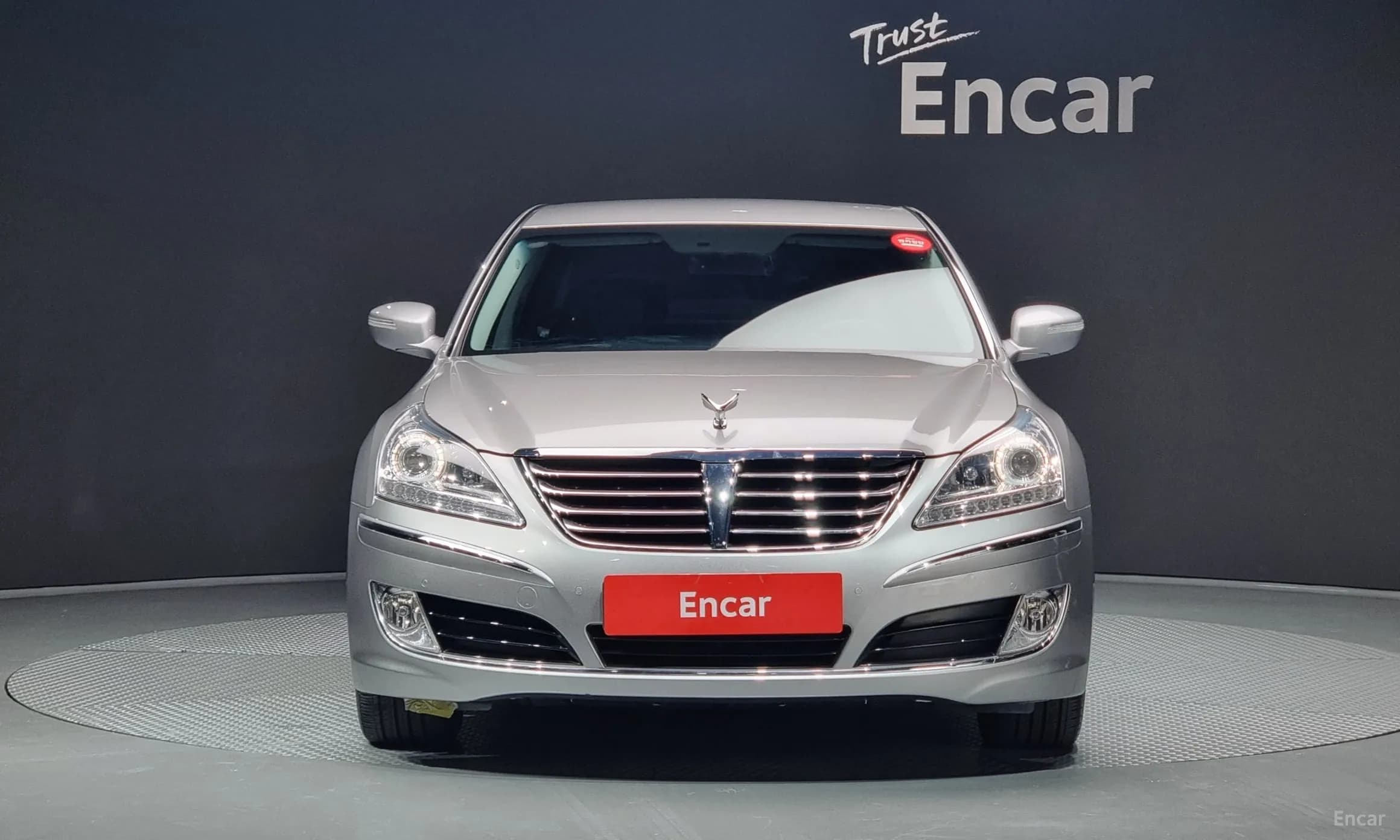 Equus (new)