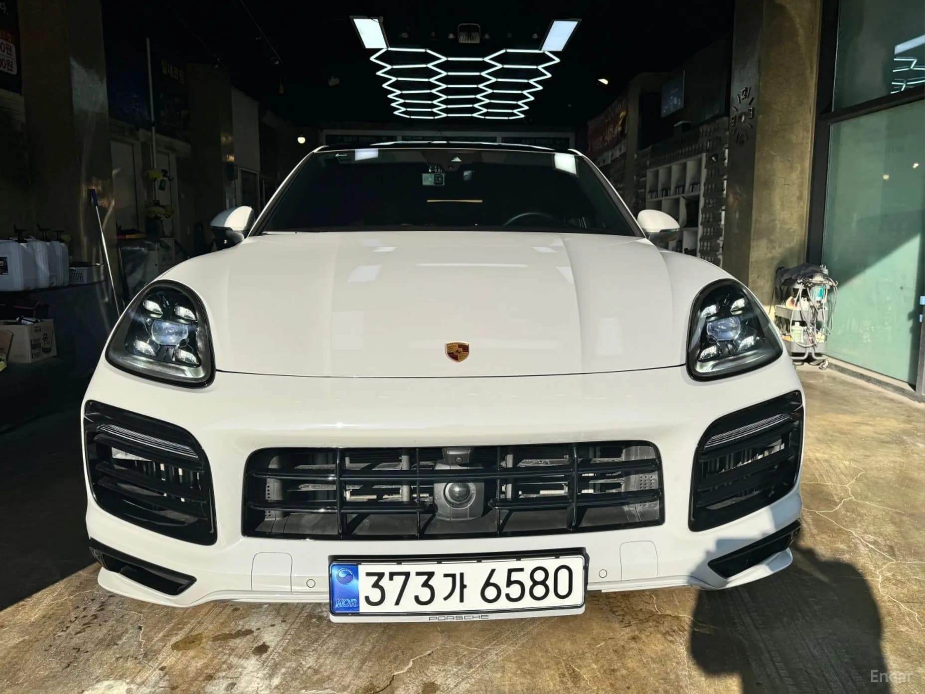 Cayenne (PO536)