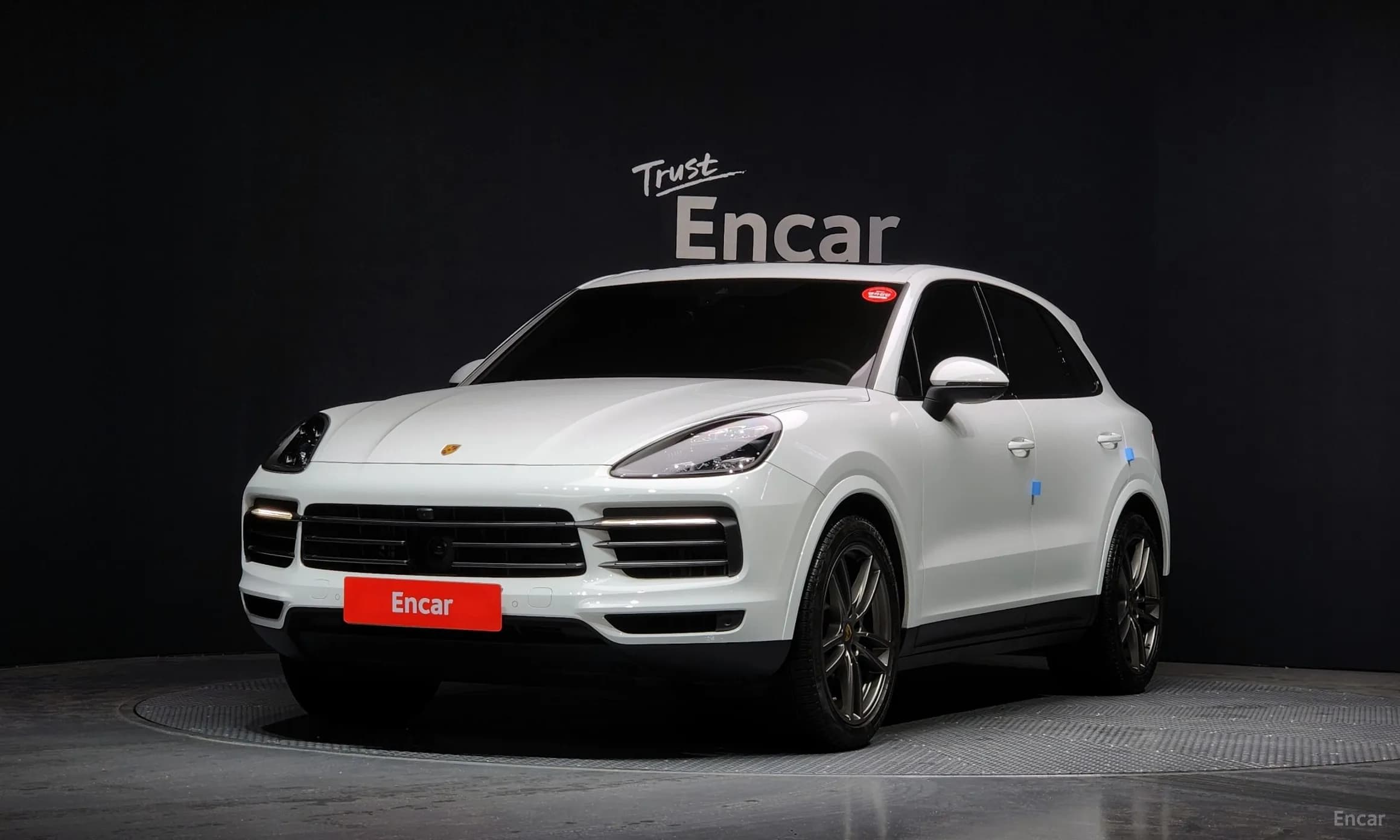 Cayenne (PO536)