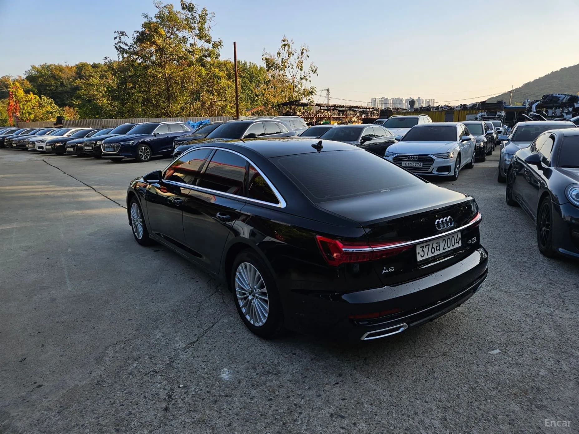 A6 (C8)