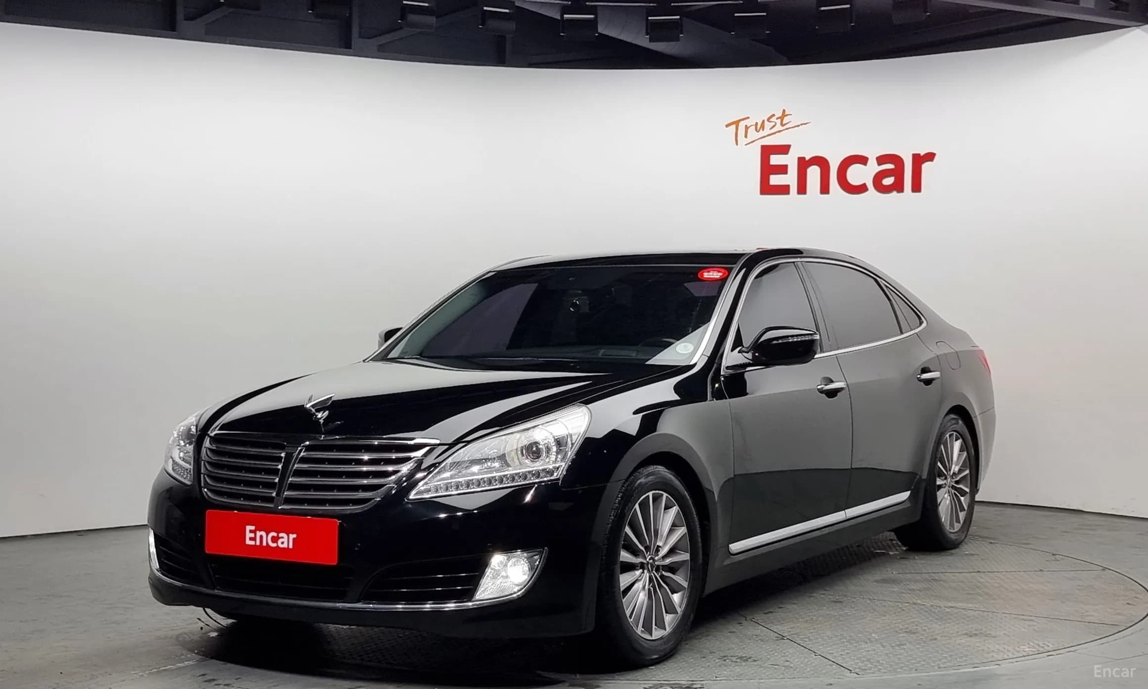 Equus (new)