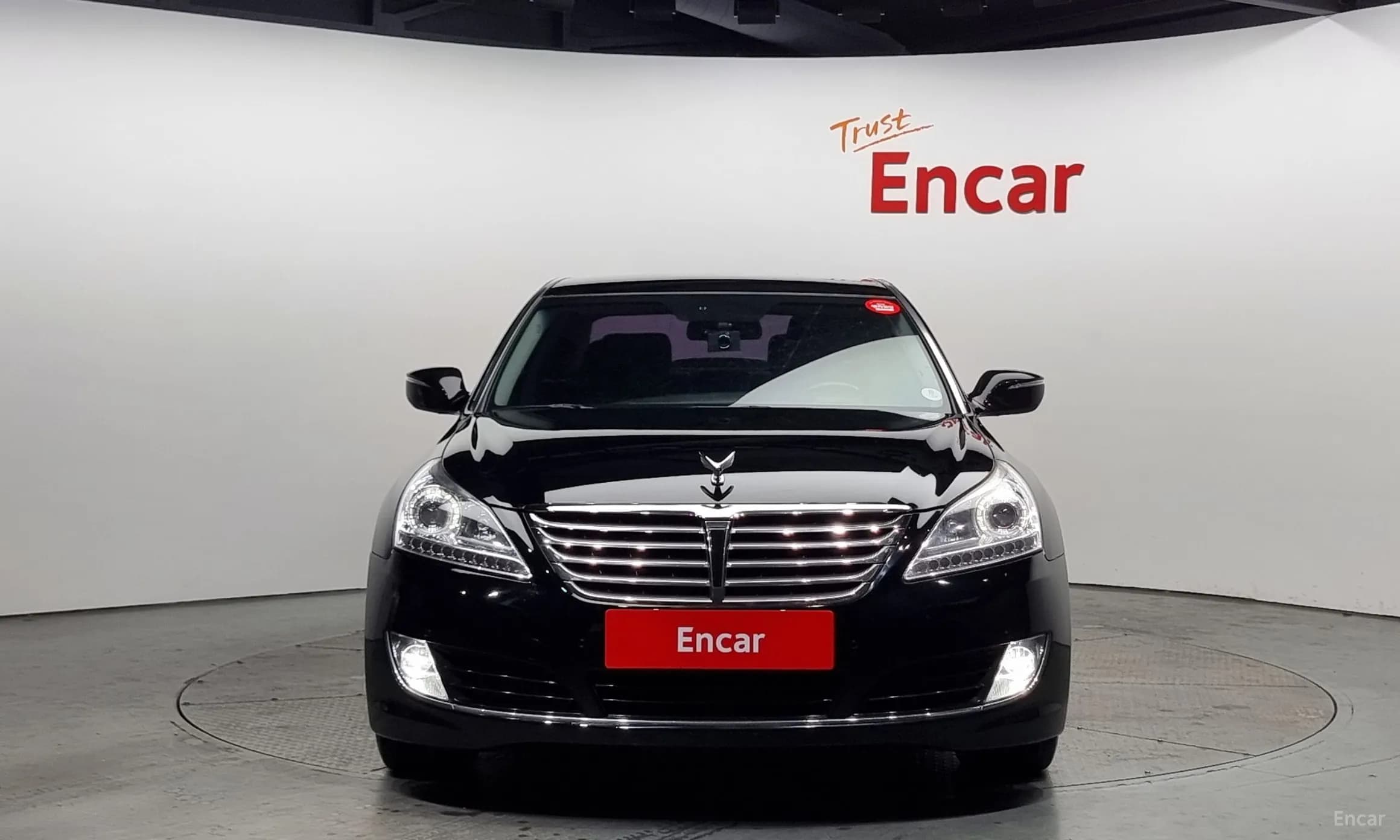 Equus (new)