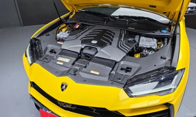 Urus
