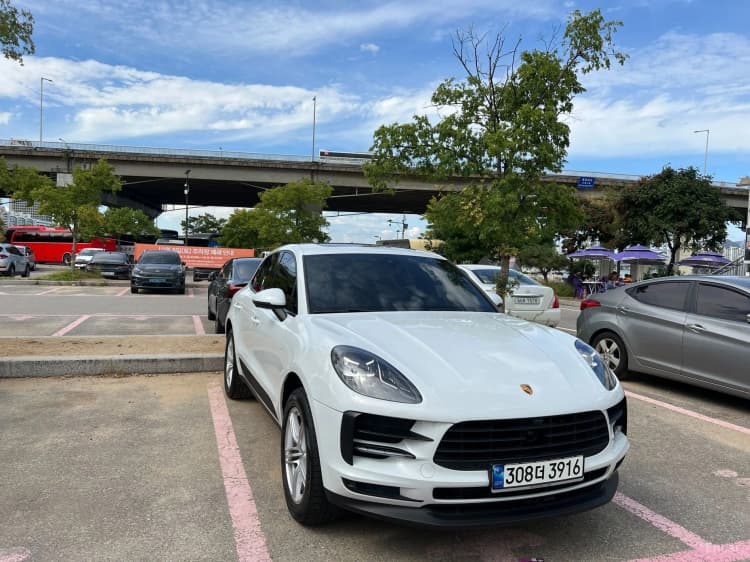 Macan