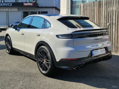 Cayenne (PO536)