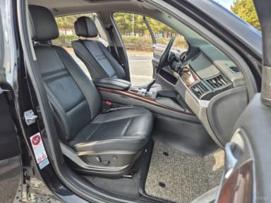 X6 (E71)
