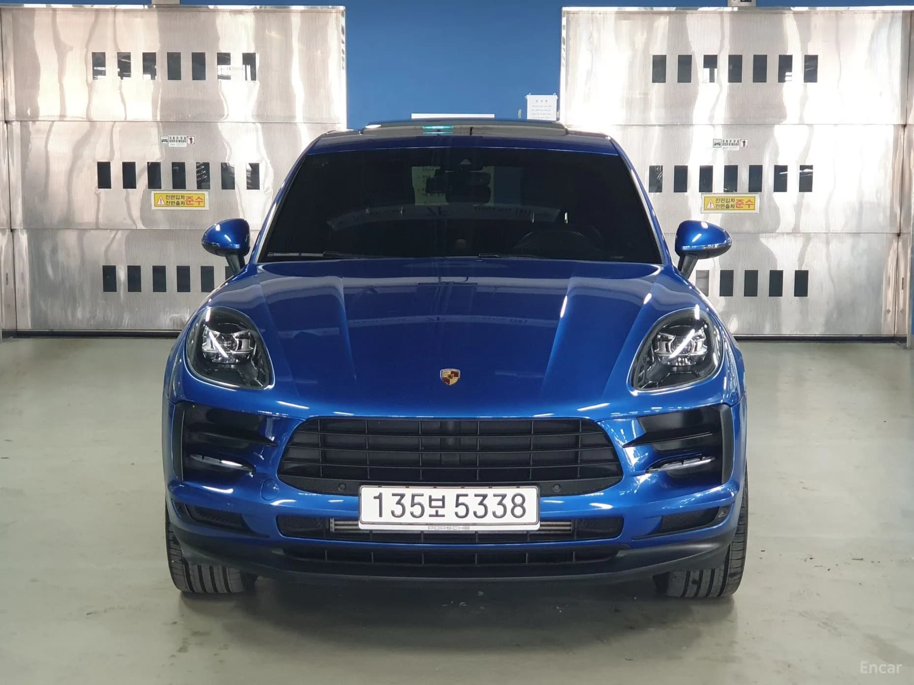 Macan