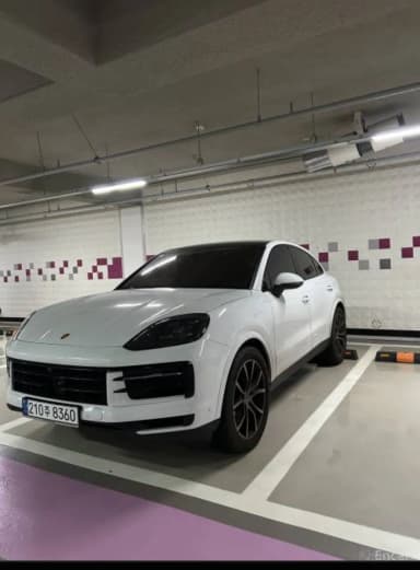Cayenne (PO536)