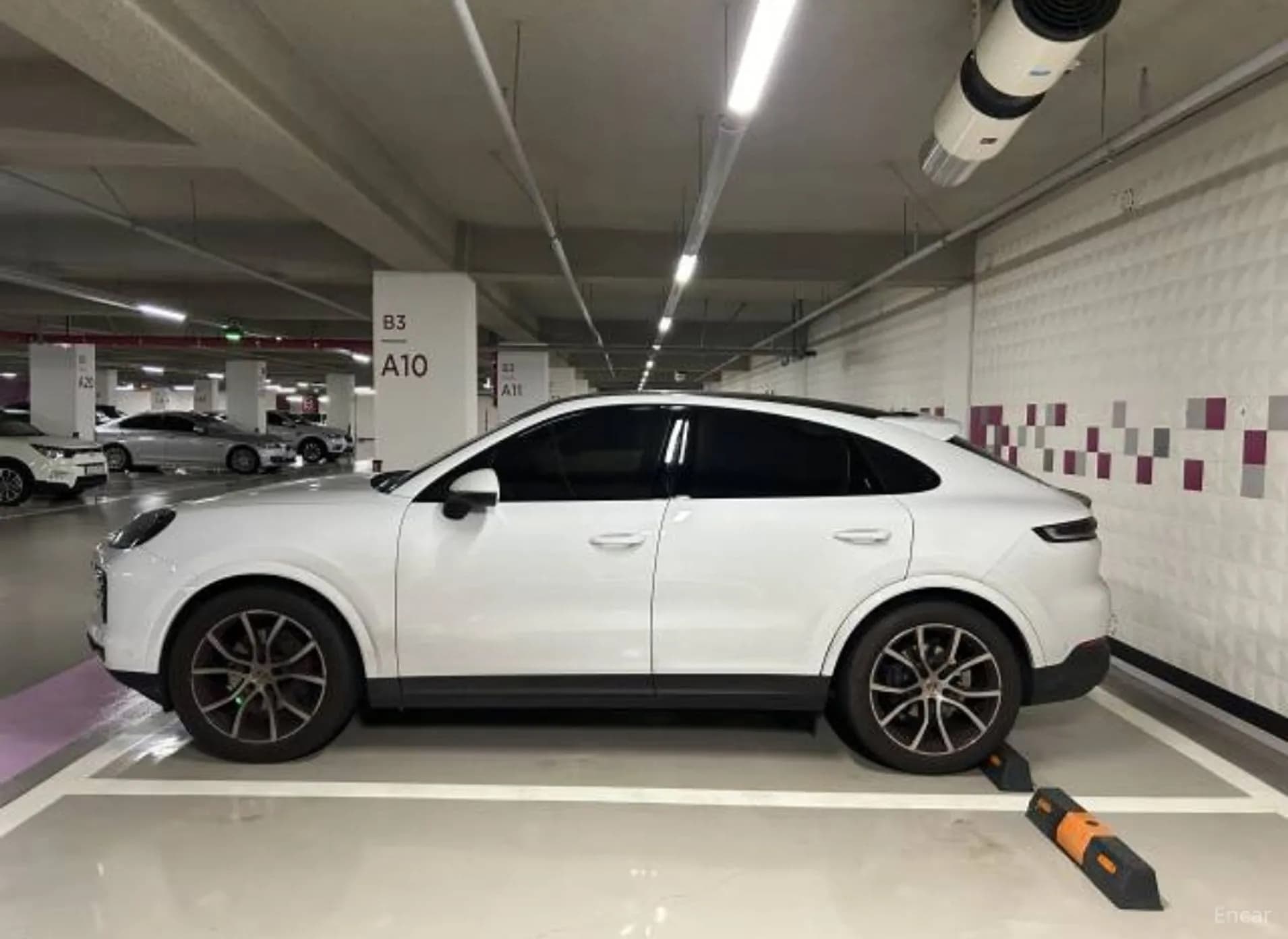 Cayenne (PO536)