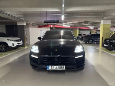 Cayenne (PO536)