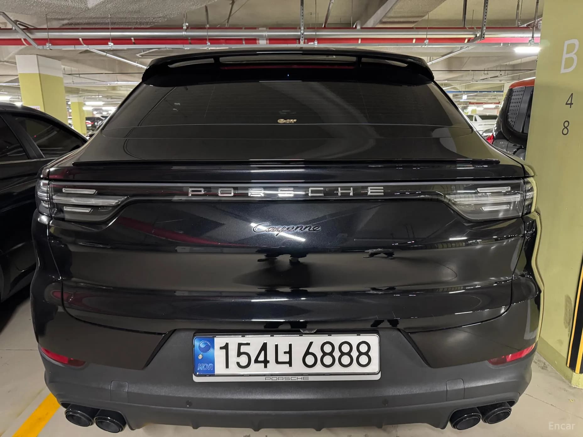 Cayenne (PO536)