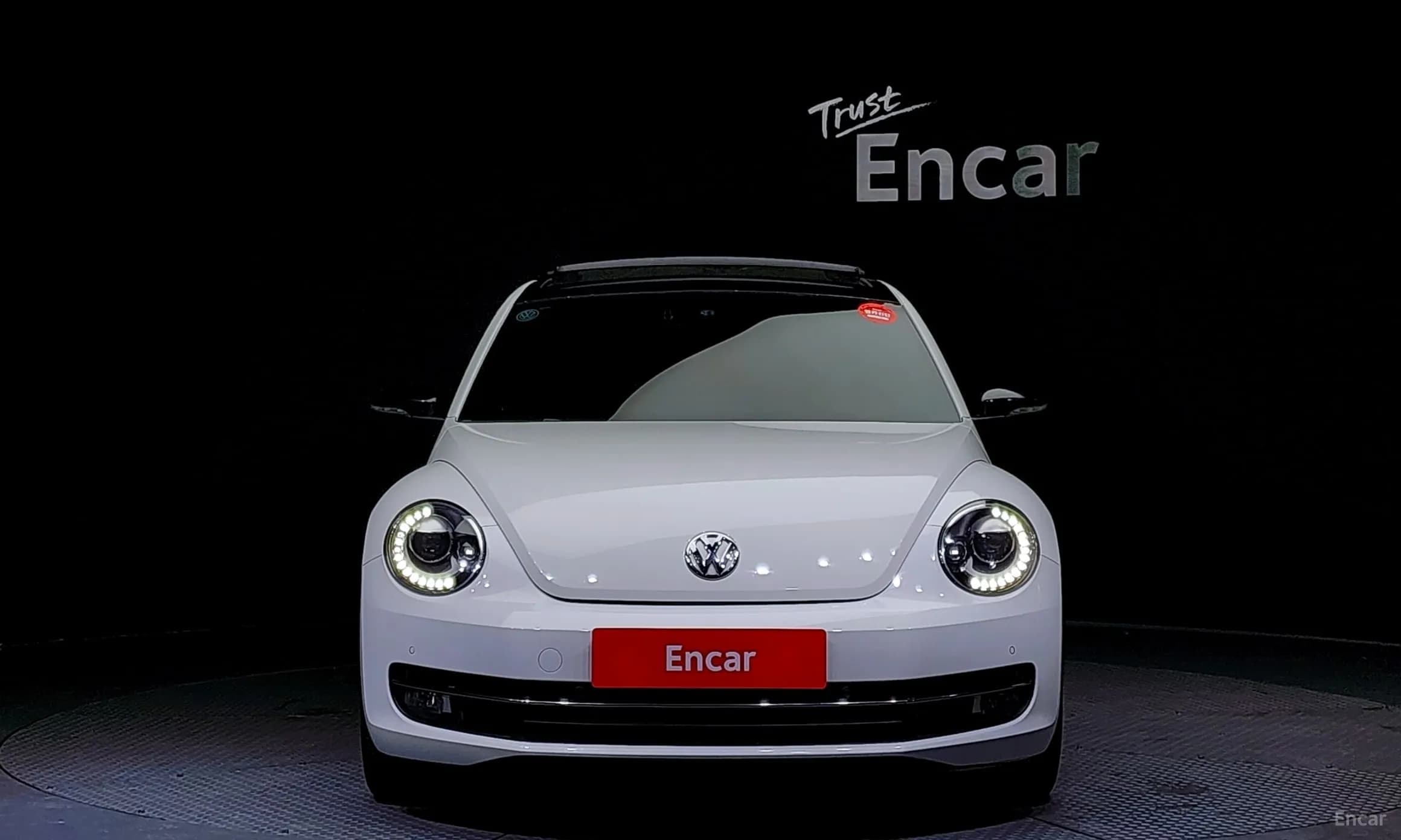 The Beetle