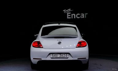 The Beetle