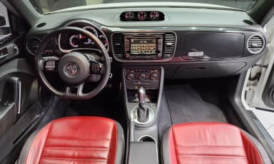 The Beetle