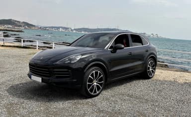 Cayenne (PO536)