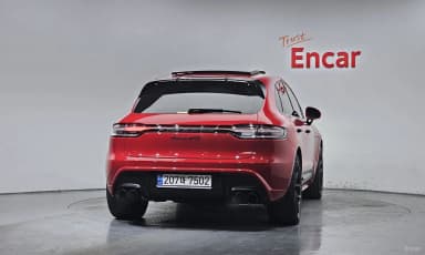 Macan