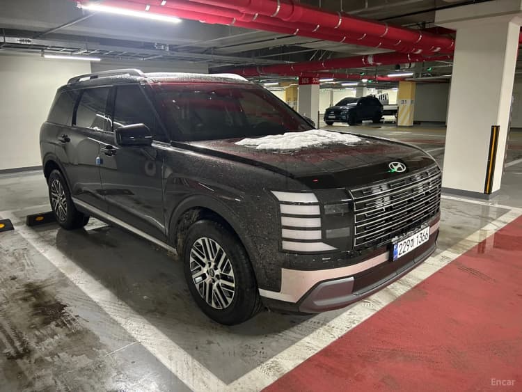 Palisade (LX3)