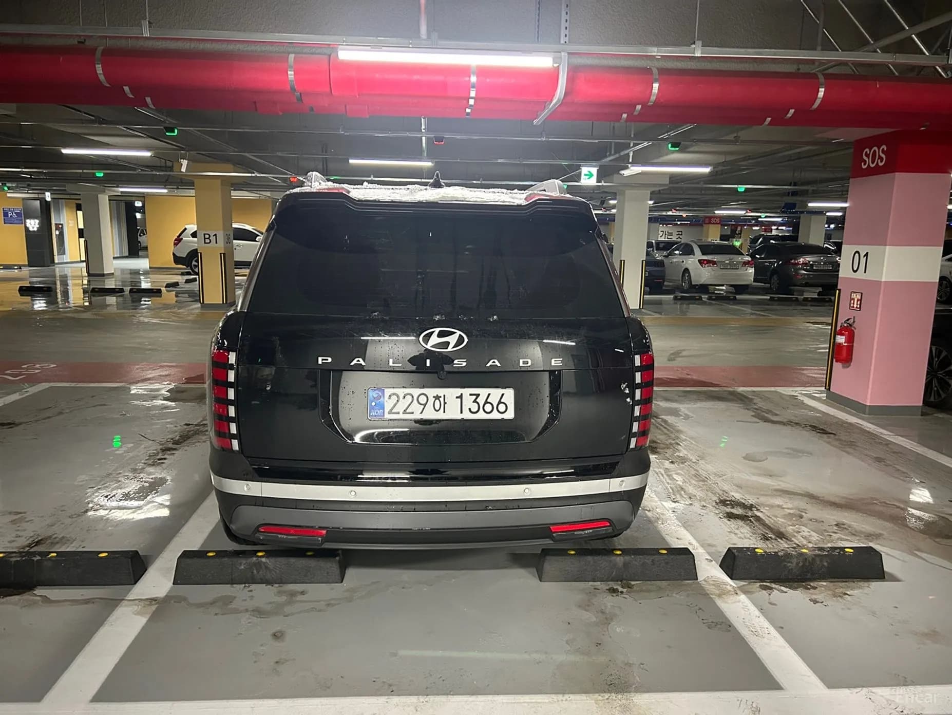 Palisade (LX3)