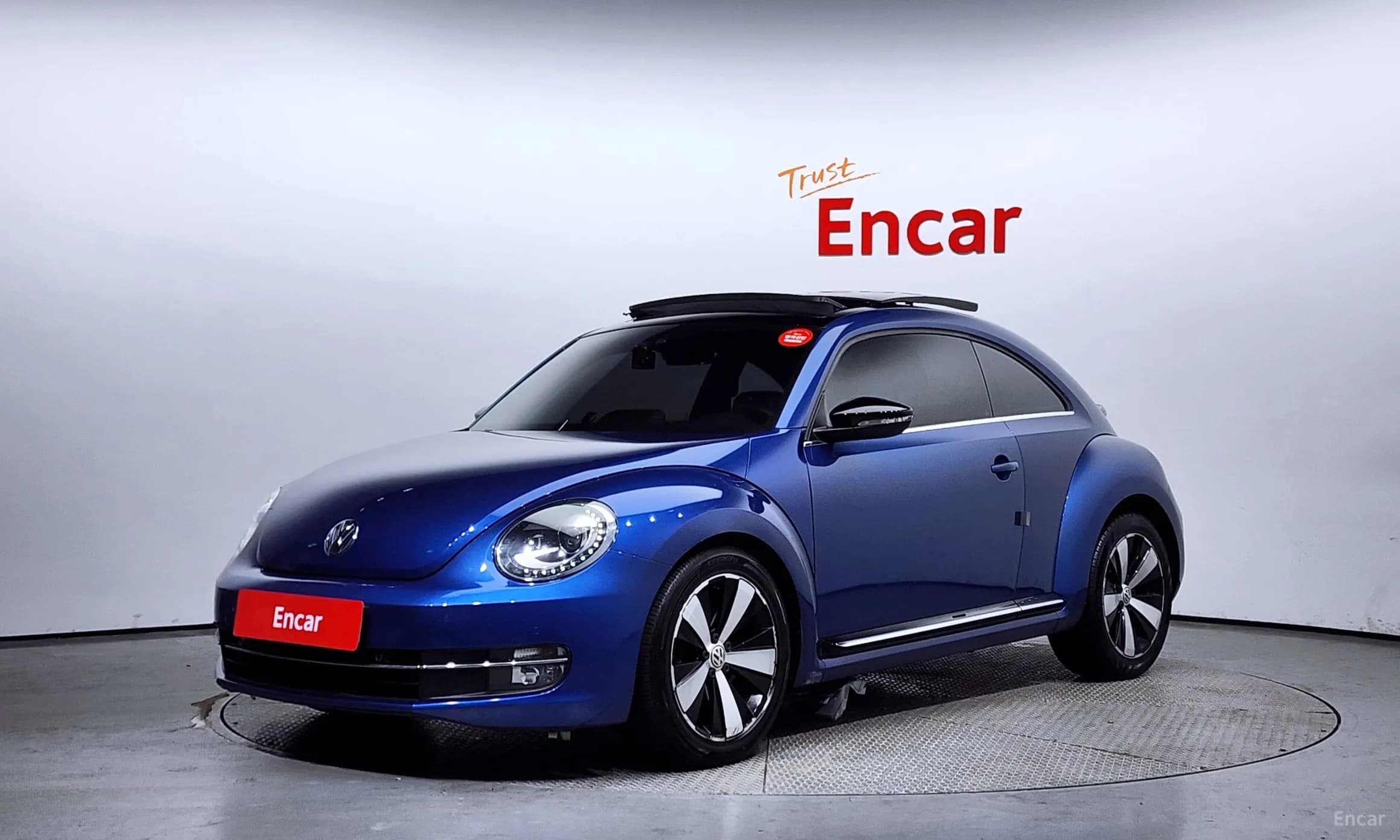 The Beetle