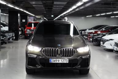 X6 (G06)