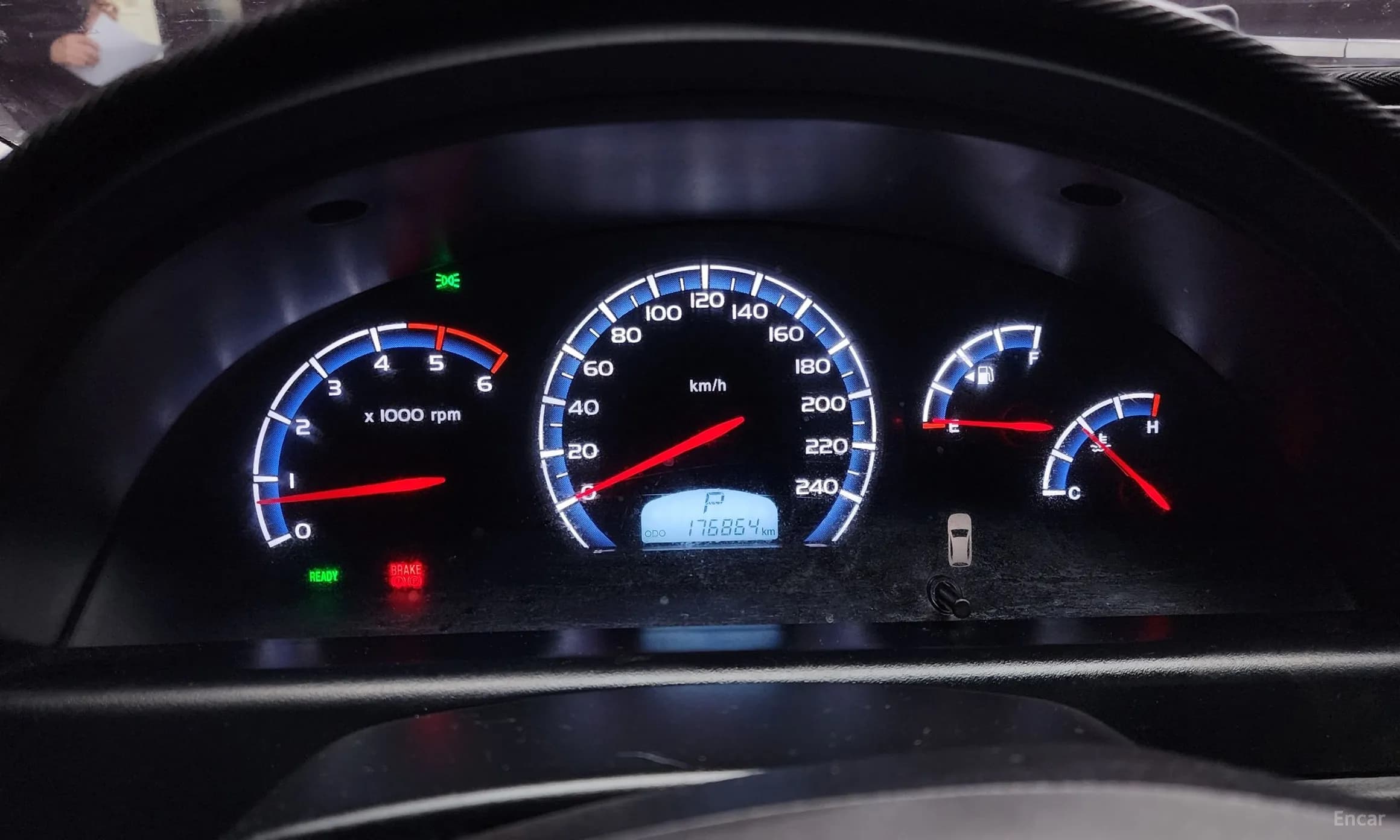 Rexton W