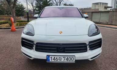 Cayenne (PO536)