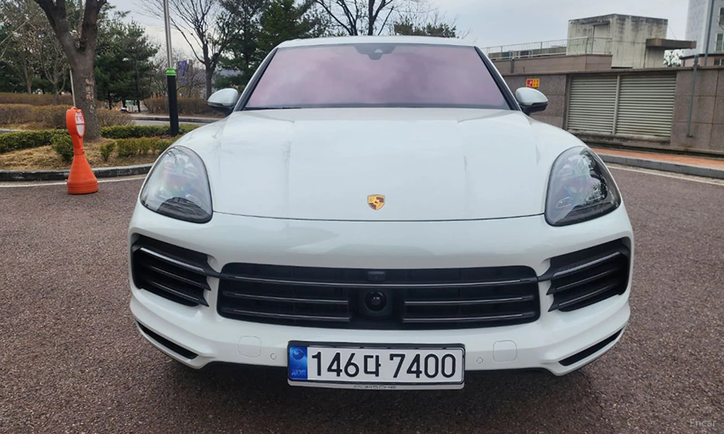 Cayenne (PO536)