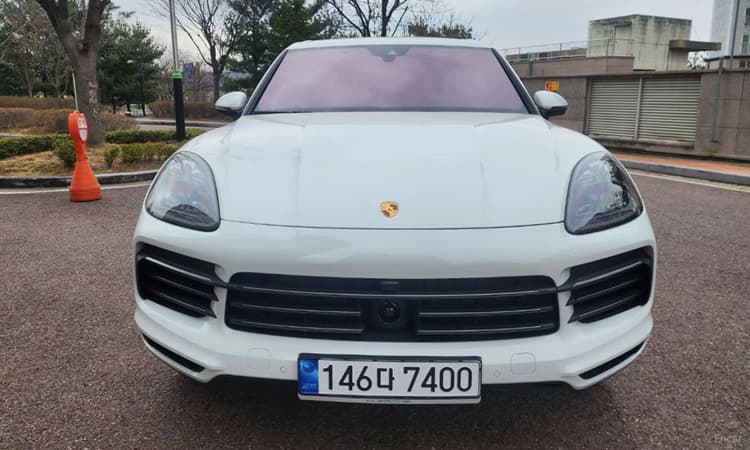 Cayenne (PO536)