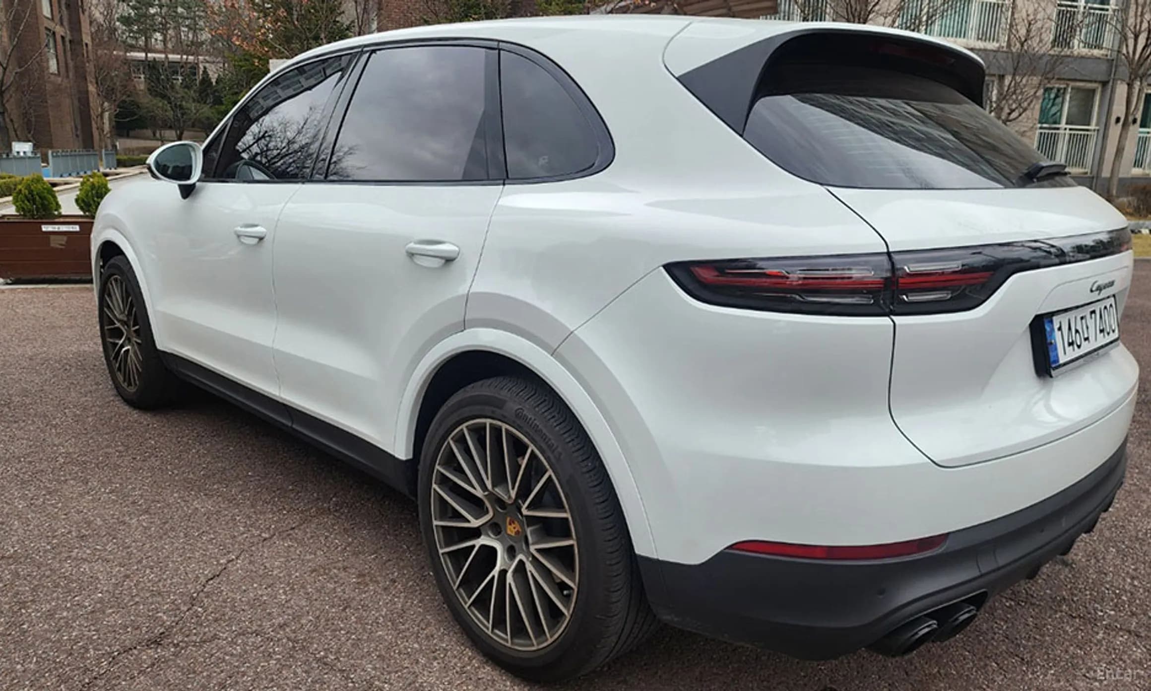 Cayenne (PO536)