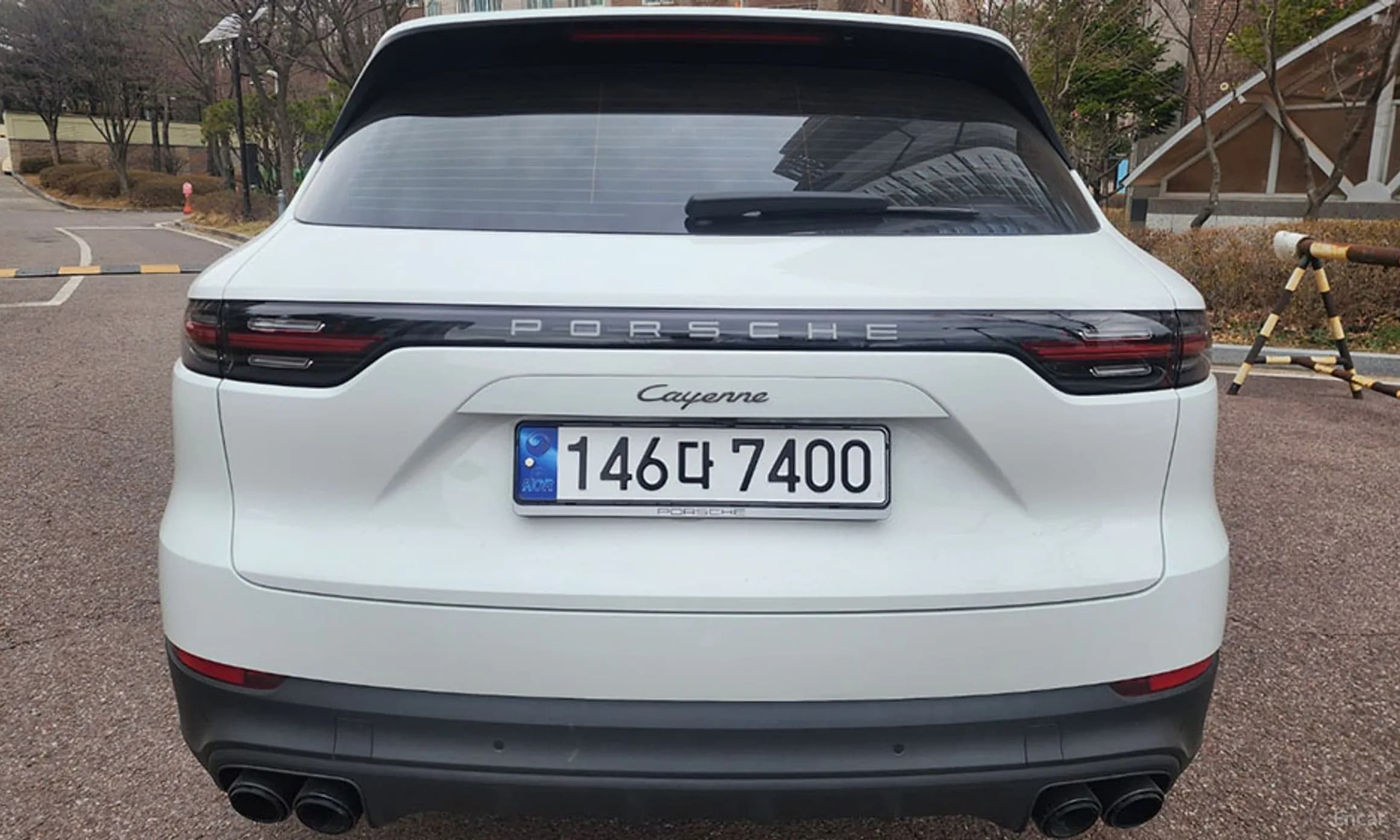 Cayenne (PO536)