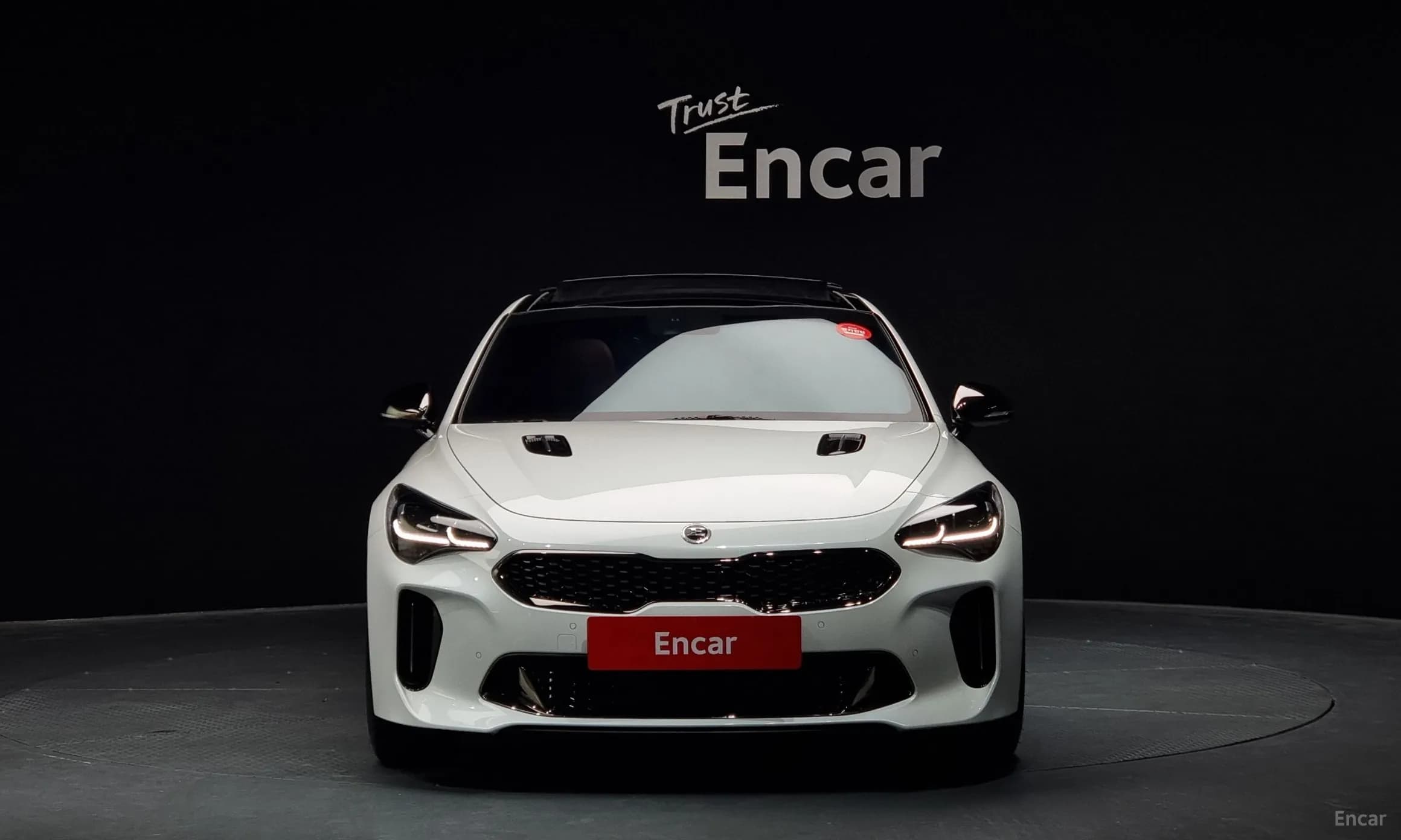 Stinger
