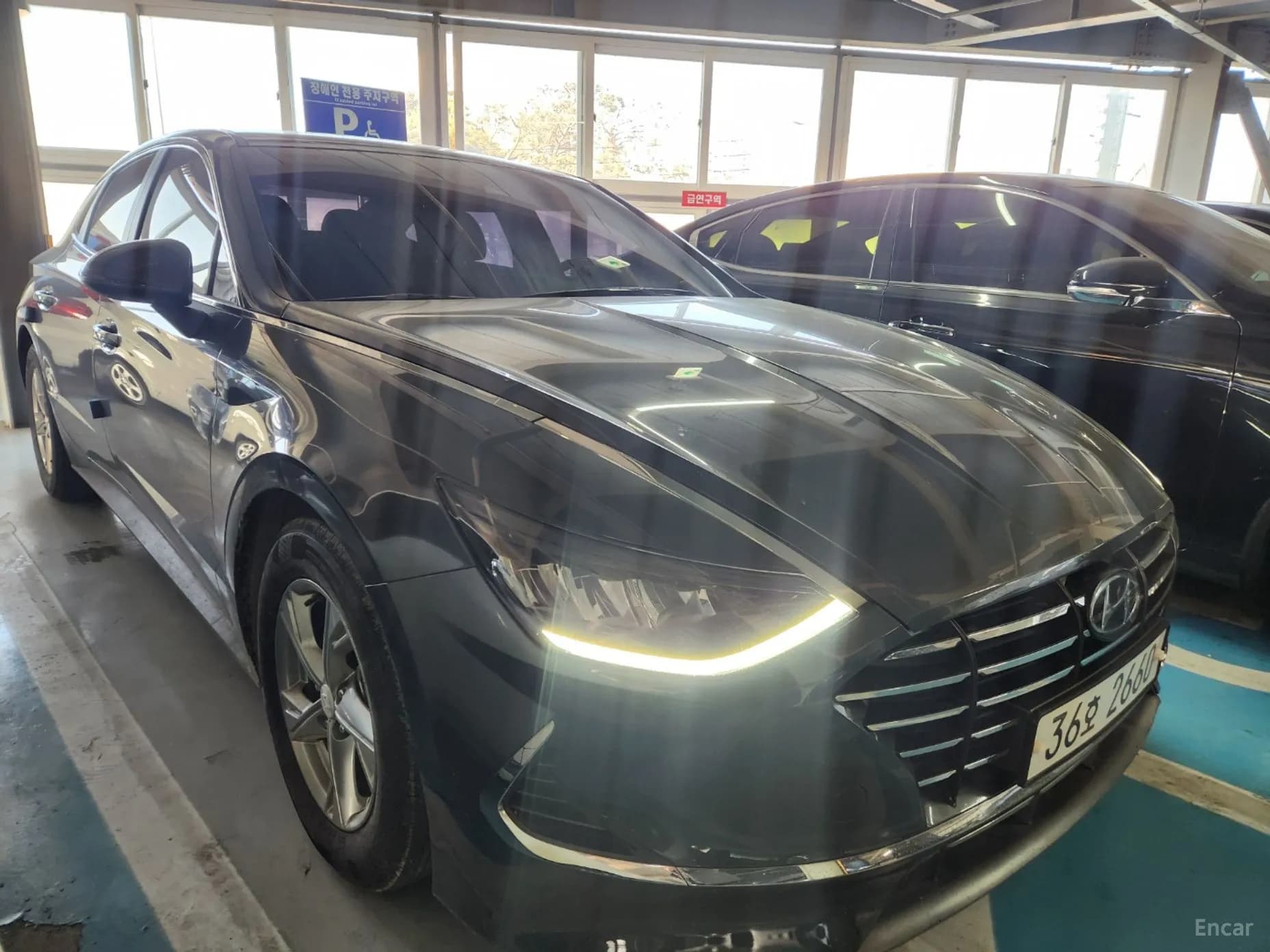 Sonata (DN8)