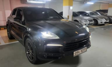 Cayenne (PO536)