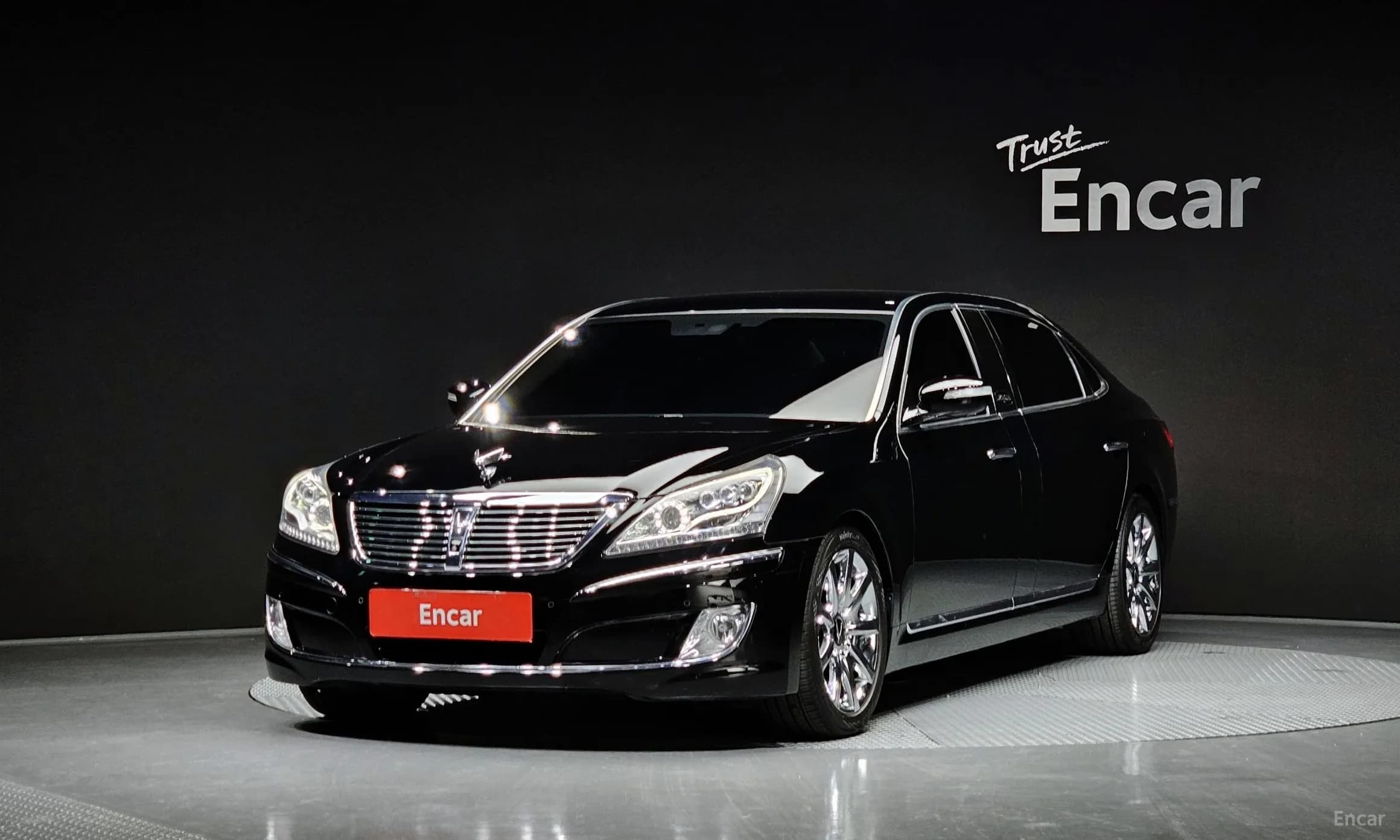 Equus (new)