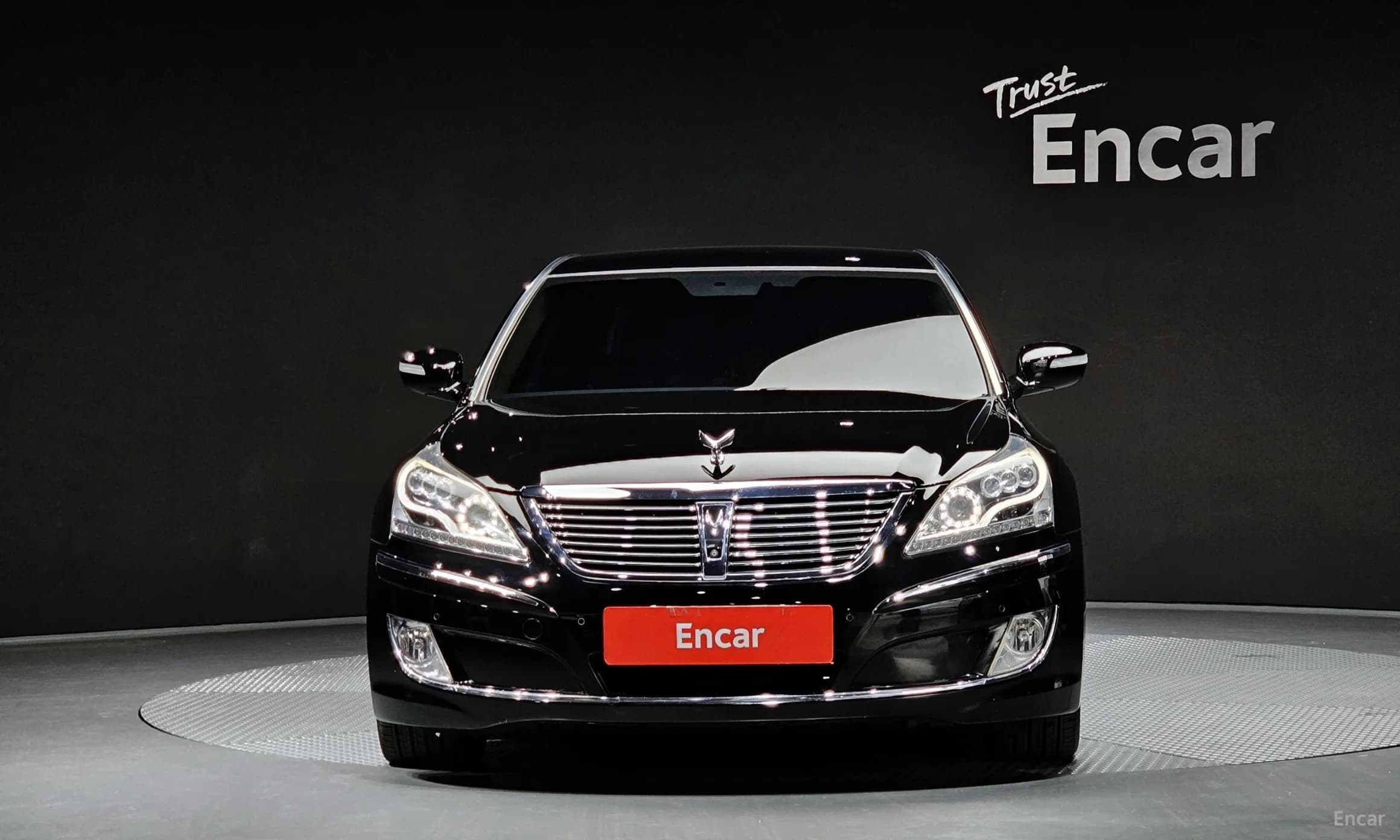 Equus (new)