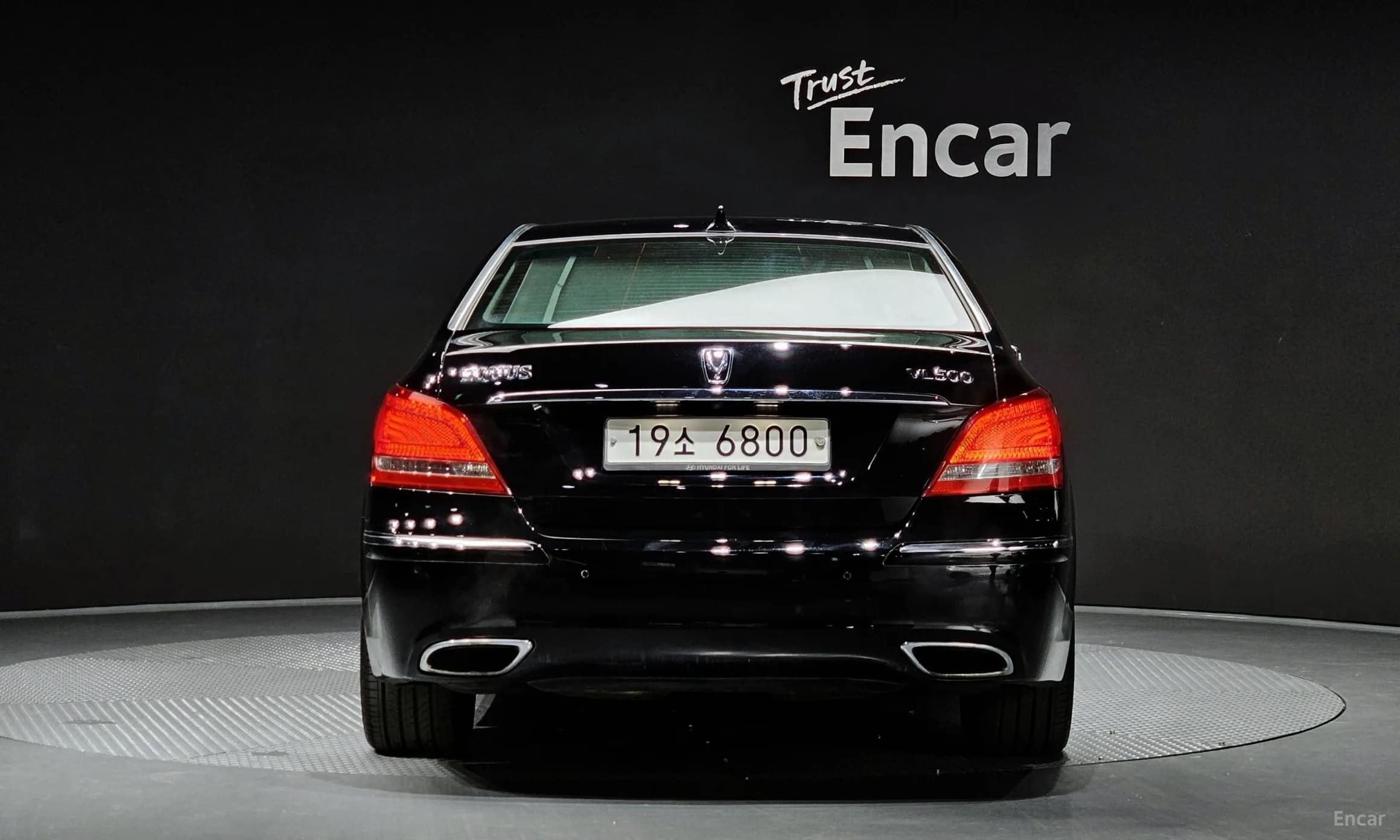 Equus (new)