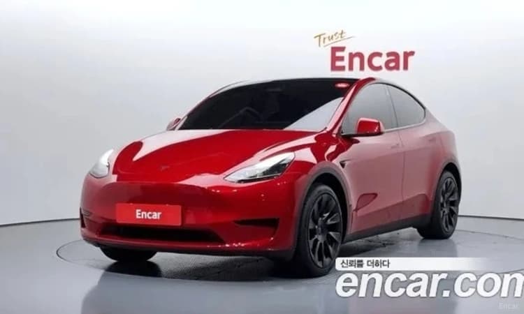 Model Y