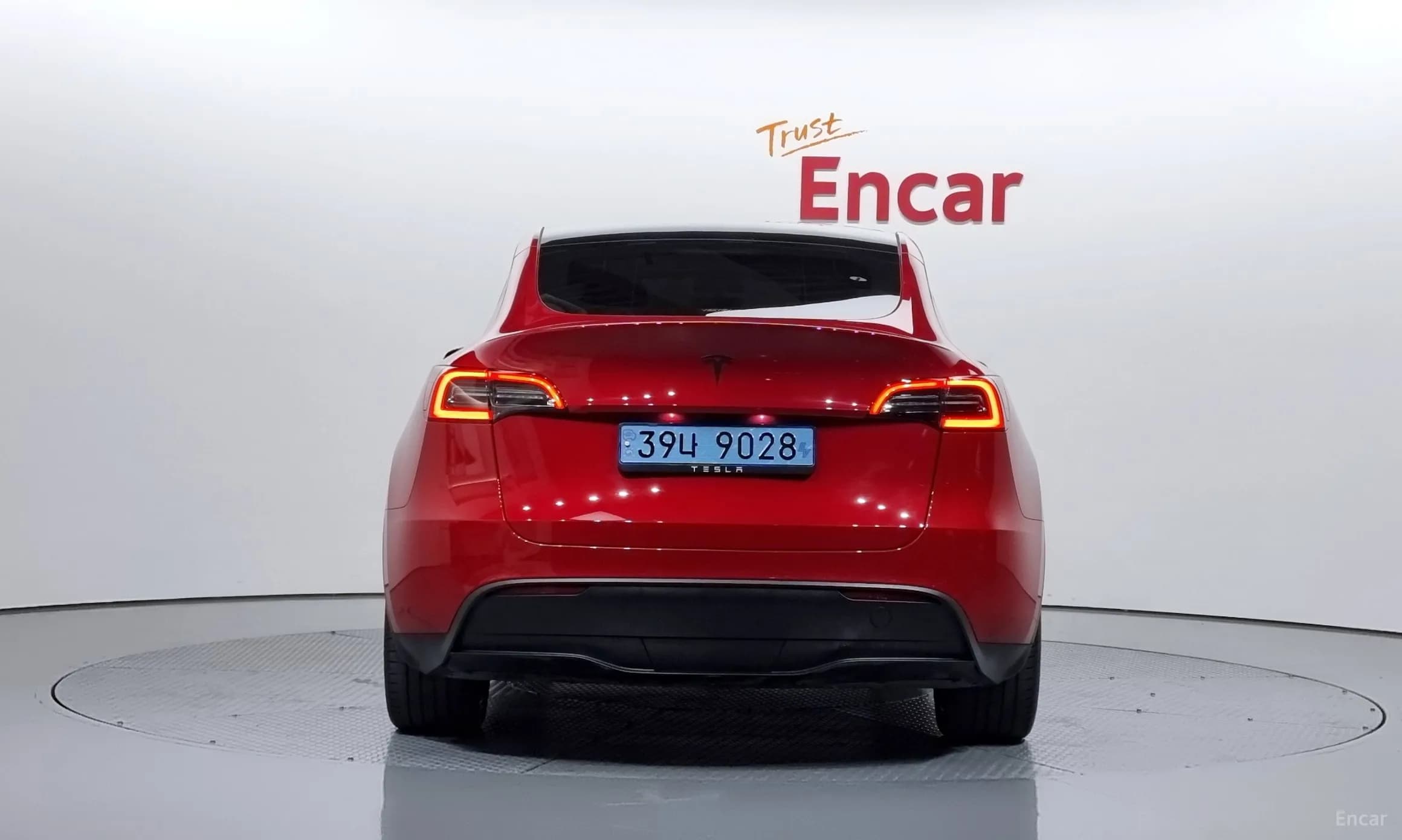Model Y
