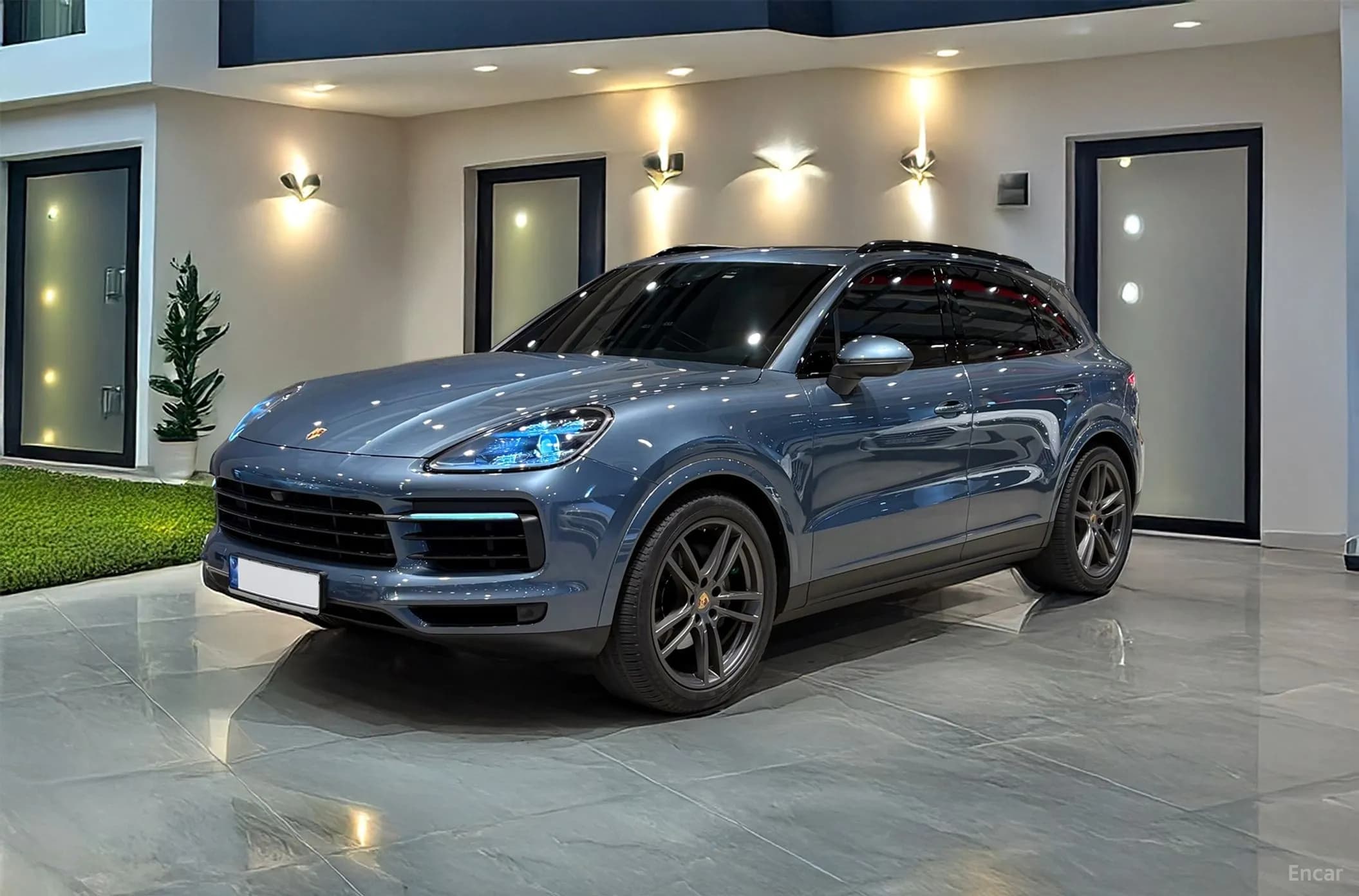 Cayenne (PO536)